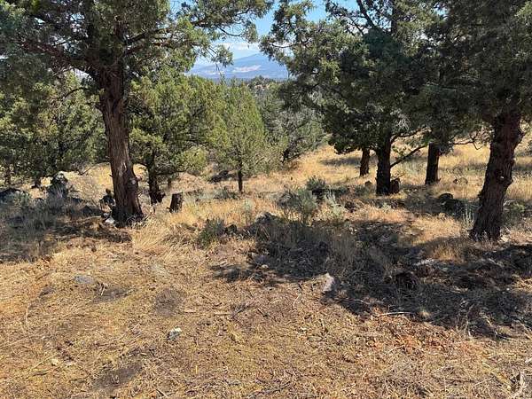 0.53 Acres of Land for Sale in Weed, California