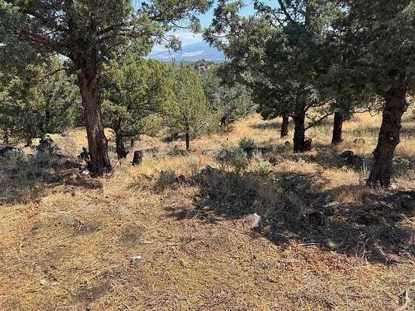 0.53 Acres of Land for Sale in Weed, California