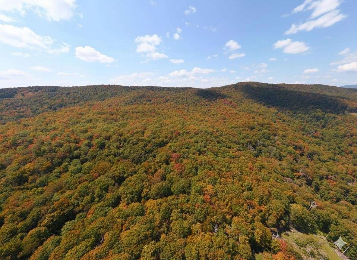 174 Acres of Recreational Land & Farm for Sale in Monterey, Virginia