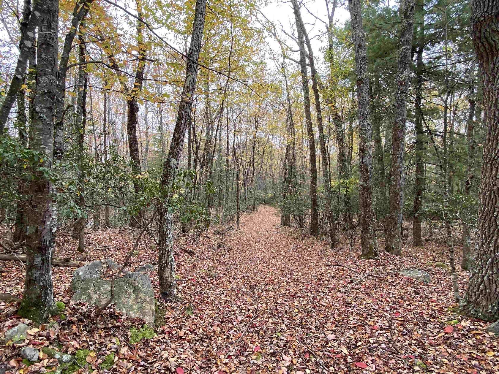 174 Acres of Land for Sale in Monterey, Virginia
