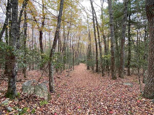 174 Acres of Land for Sale in Monterey, Virginia