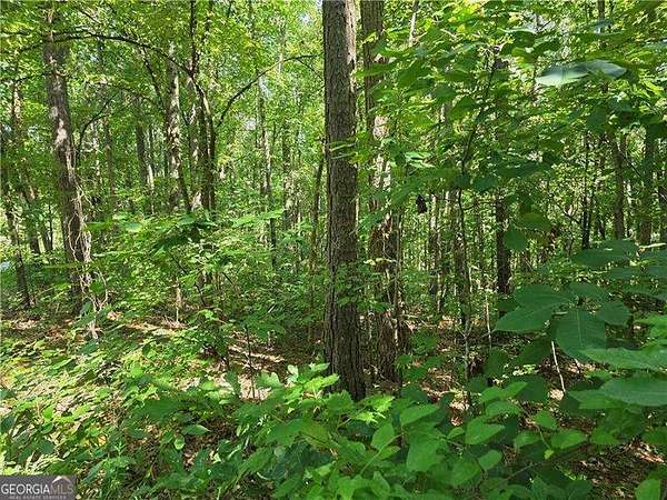 5.45 Acres of Land for Sale in Ball Ground, Georgia