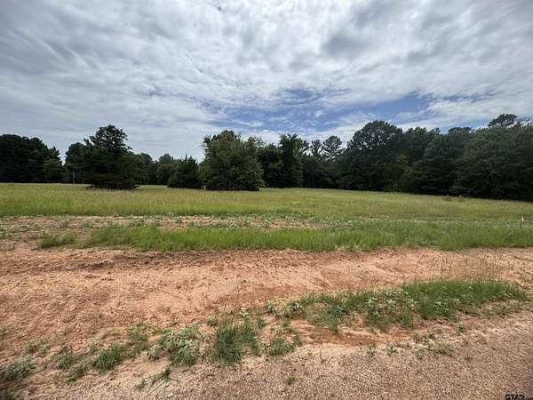 0.38 Acres of Residential Land for Sale in Mount Vernon, Texas