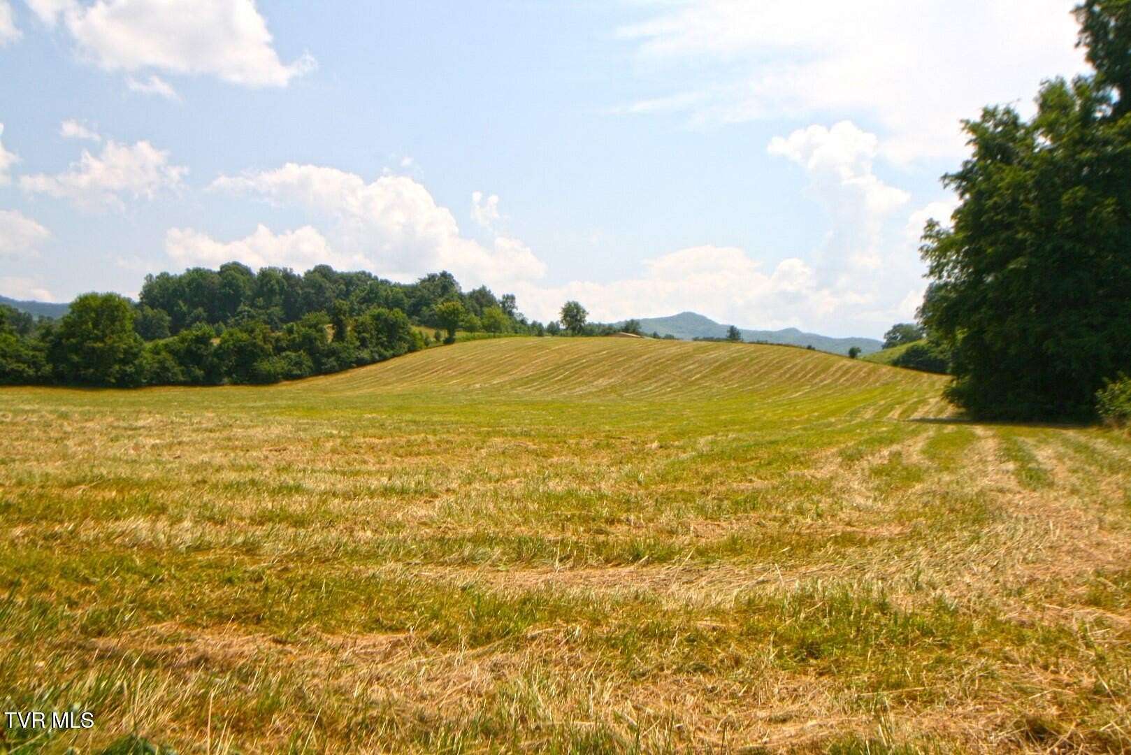 8.8 Acres of Residential Land for Sale in Elizabethton, Tennessee