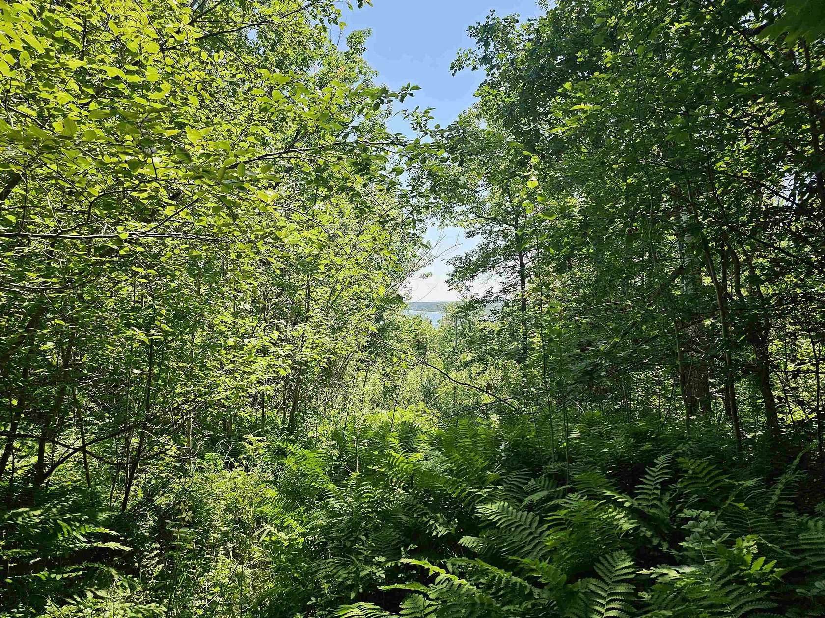 3 Acres of Residential Land for Sale in Washburn, Wisconsin