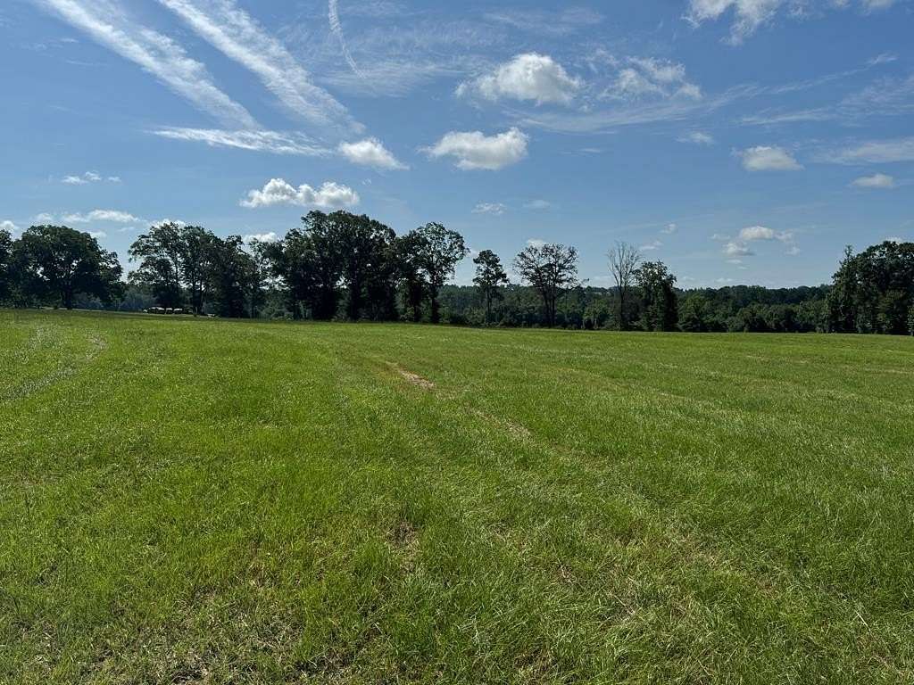 5.17 Acres of Land for Sale in Brundidge, Alabama