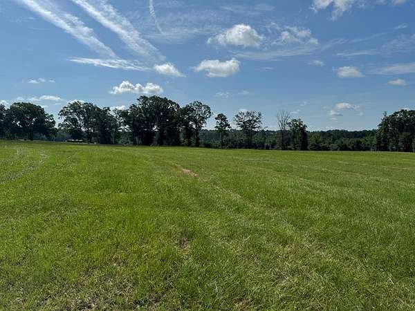 5.17 Acres of Land for Sale in Brundidge, Alabama