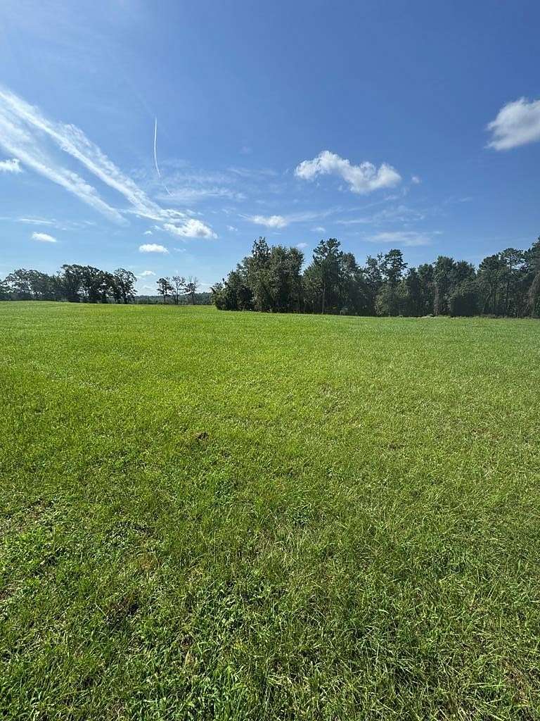 4 Acres of Land for Sale in Brundidge, Alabama