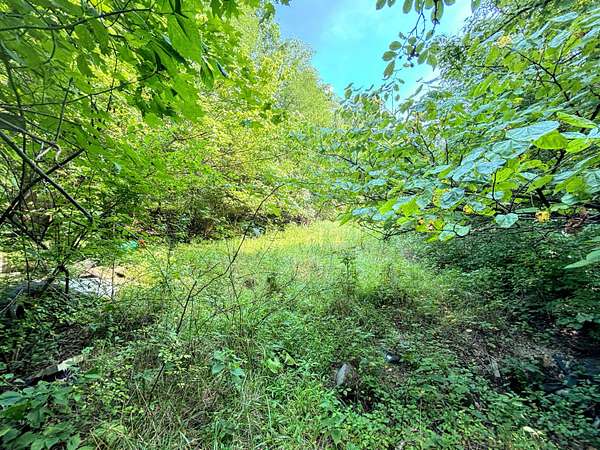 4.56 Acres of Land for Sale in Covington, Kentucky