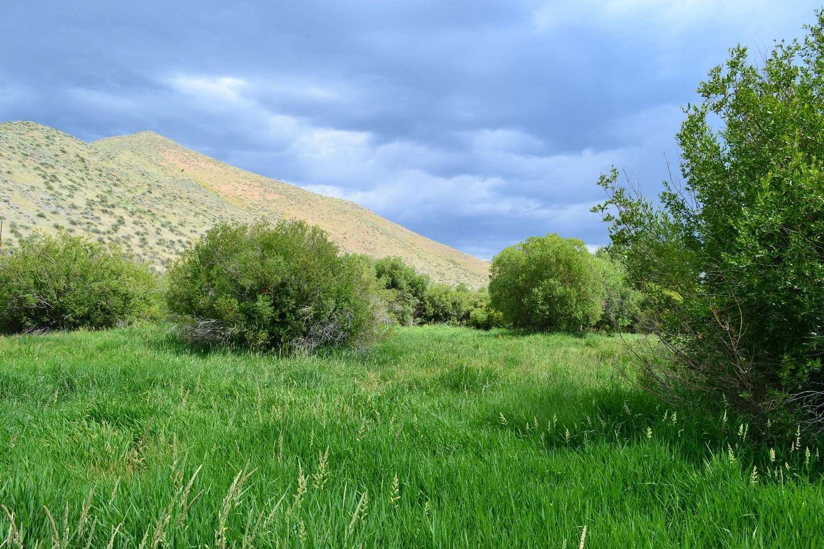 3.28 Acres of Residential Land for Sale in Hailey, Idaho