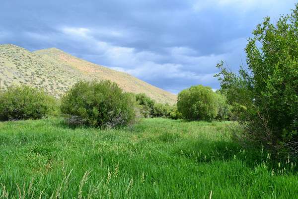 3.28 Acres of Residential Land for Sale in Hailey, Idaho