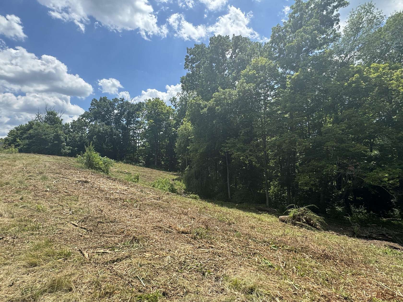 2.44 Acres of Residential Land for Sale in Crittenden, Kentucky