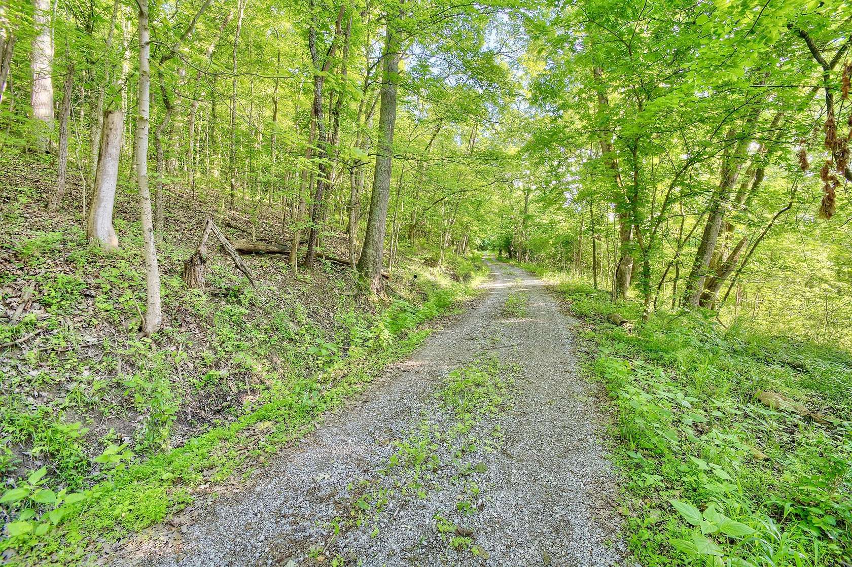 10.5 Acres of Land for Sale in Union, Kentucky
