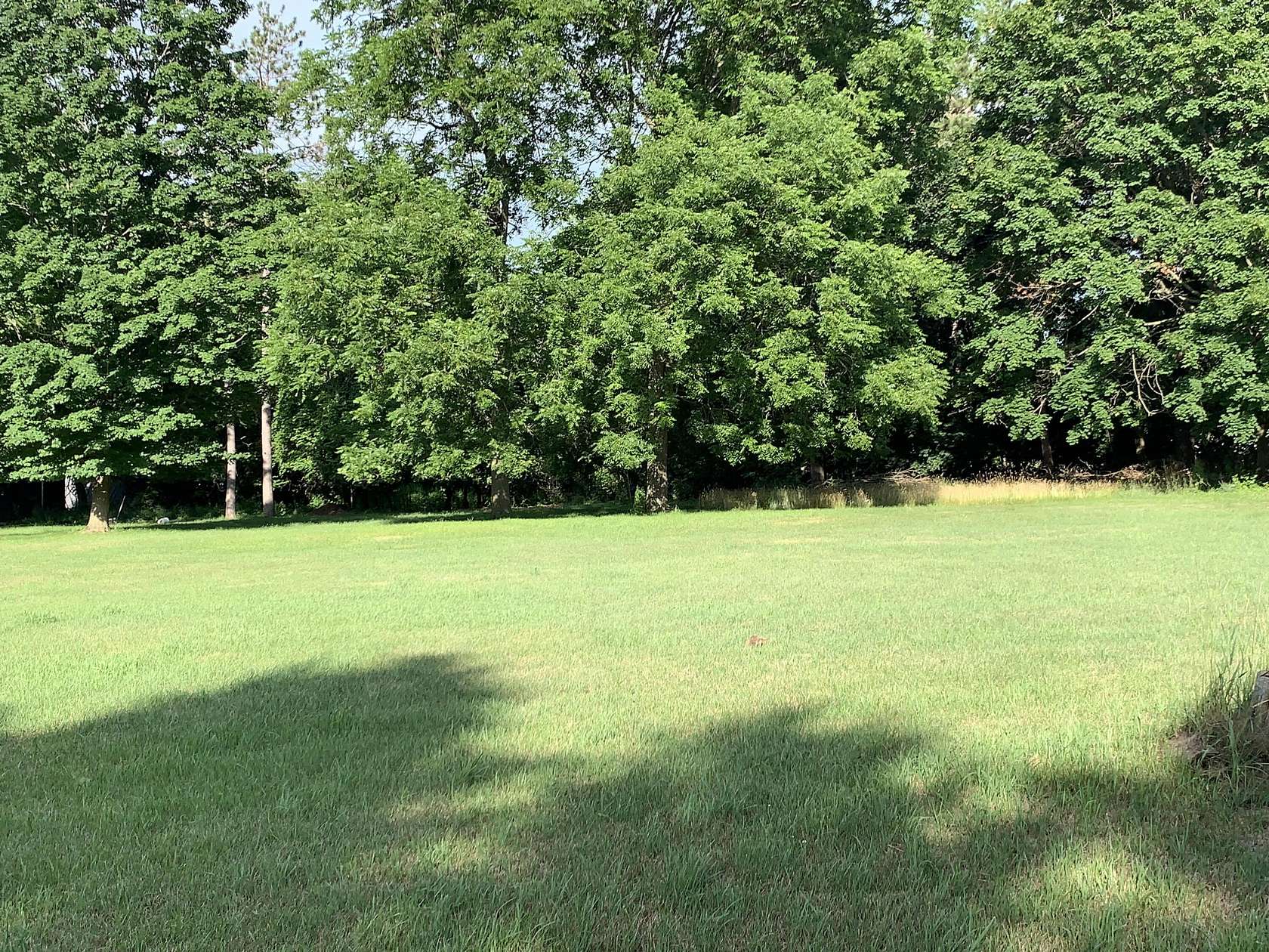 0.33 Acres of Land for Sale in Hesperia, Michigan