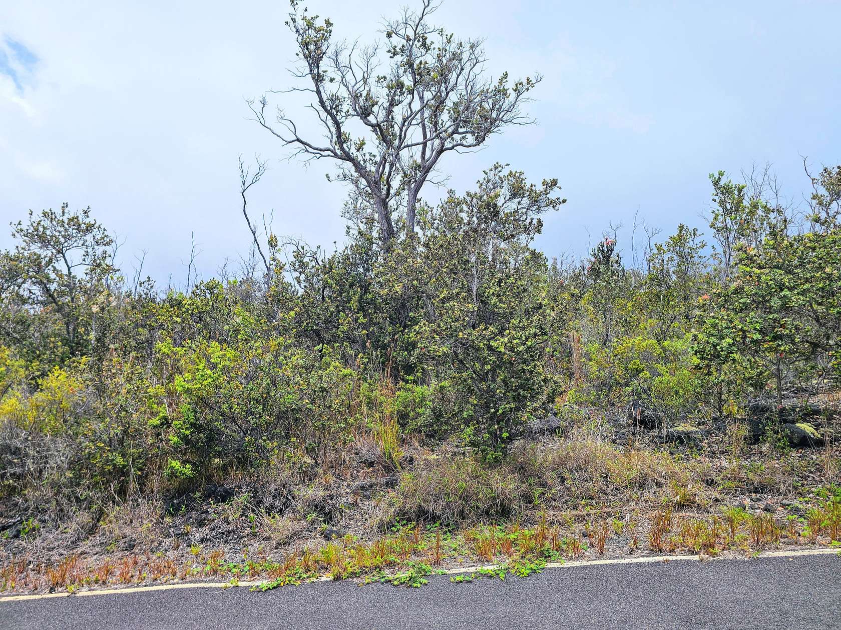 1 Acre of Residential Land for Sale in Hawaiian Ocean View, Hawaii