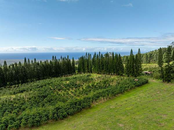 6 Acres of Residential Land for Sale in Pahala, Hawaii