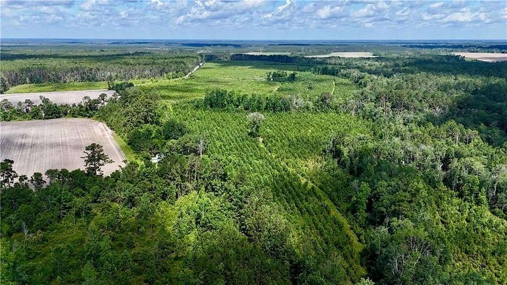 203 Acres of Land for Sale in Odum, Georgia