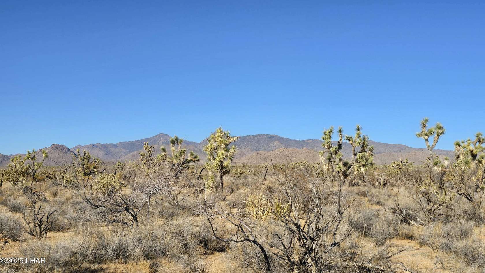 40 Acres of Recreational Land for Sale in Yucca, Arizona