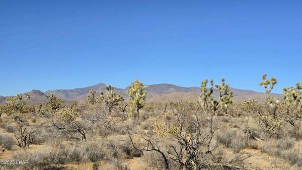 40 Acres of Recreational Land for Sale in Yucca, Arizona