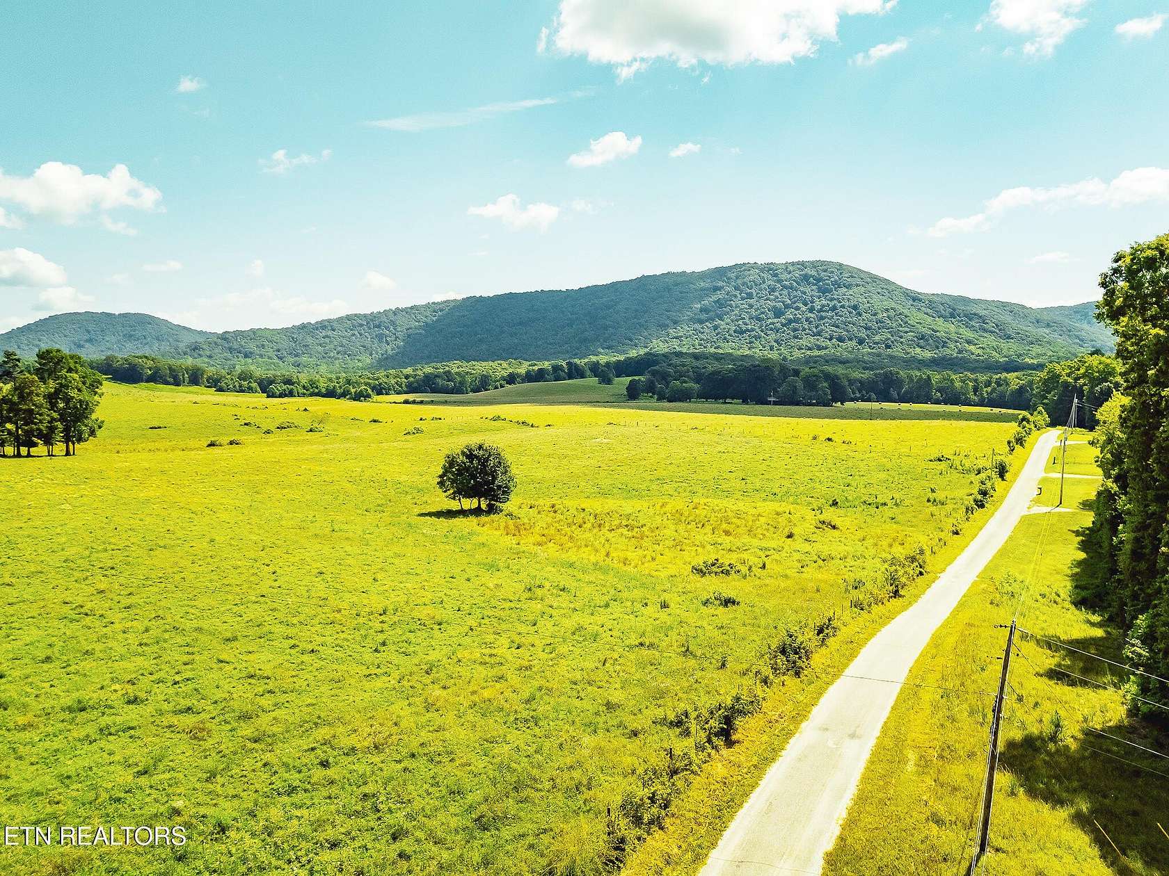 171 Acres of Agricultural Land for Sale in Sunbright, Tennessee