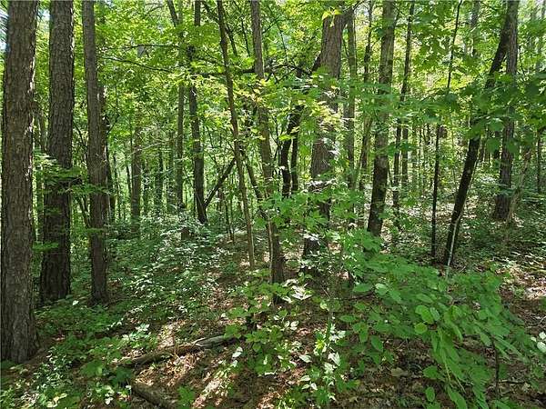 6.15 Acres of Residential Land for Sale in Ball Ground, Georgia