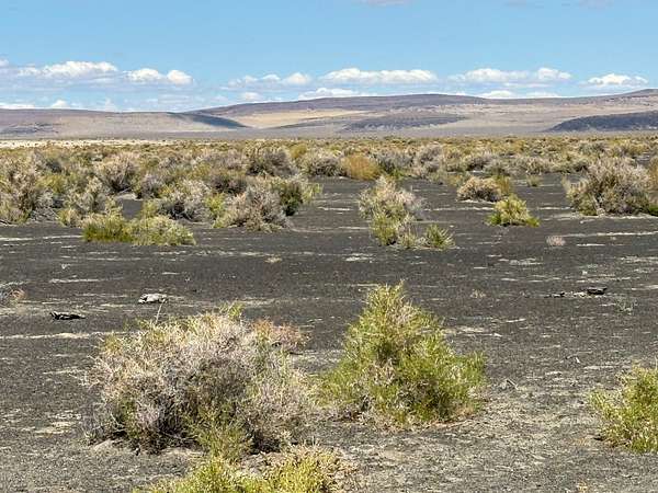 134 Acres of Land for Sale in Fallon, Nevada