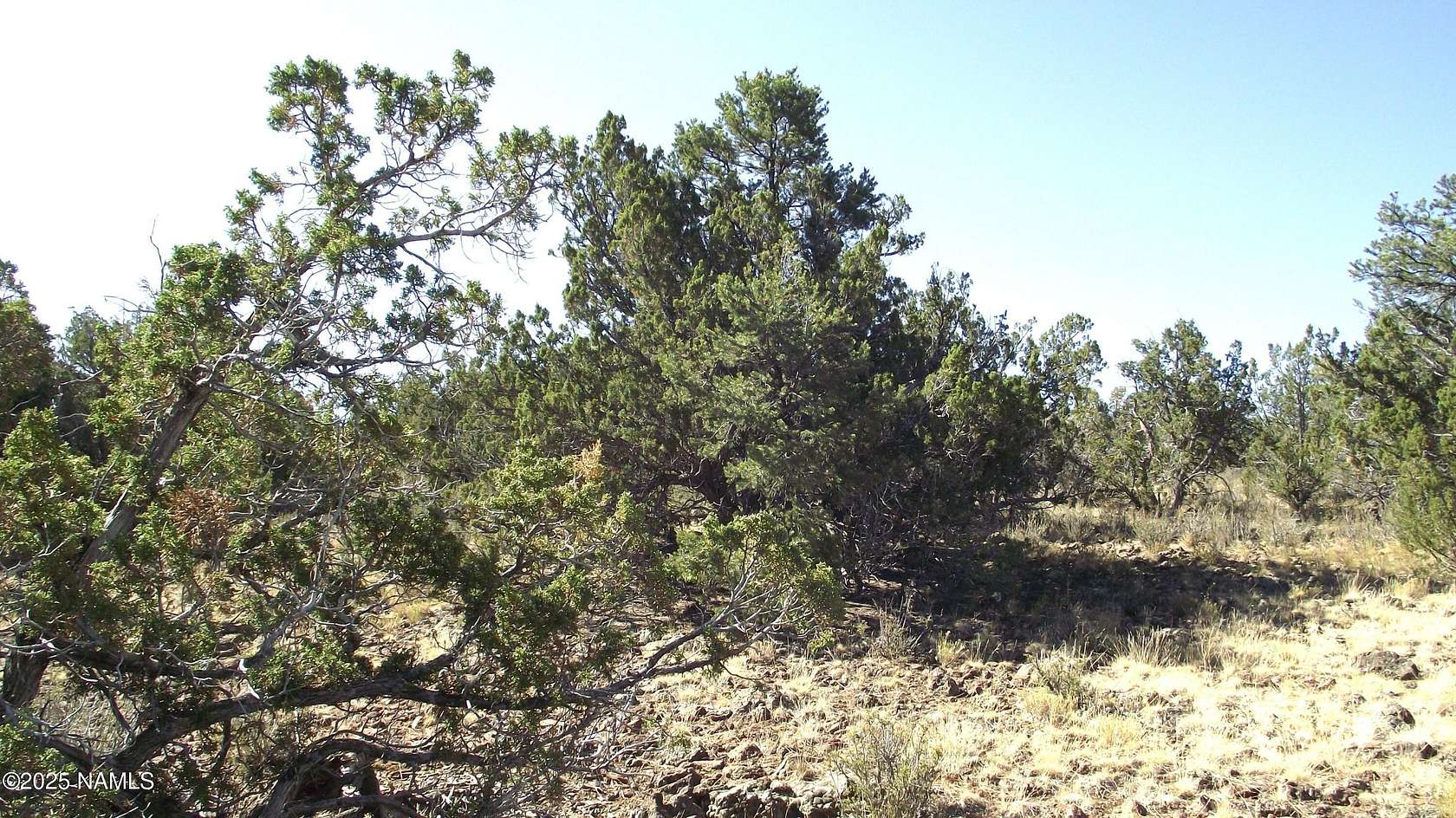 1 Acre of Land for Sale in Williams, Arizona