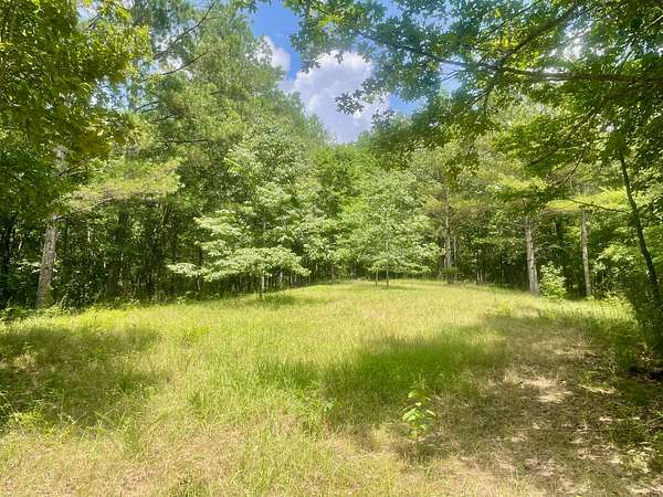 55 Acres of Recreational Land for Sale in Grenada, Mississippi