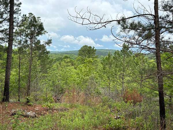 60 Acres of Land for Sale in Pittsburg, Oklahoma