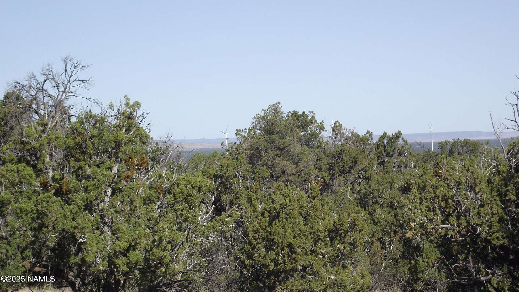 1 Acre of Land for Sale in Williams, Arizona
