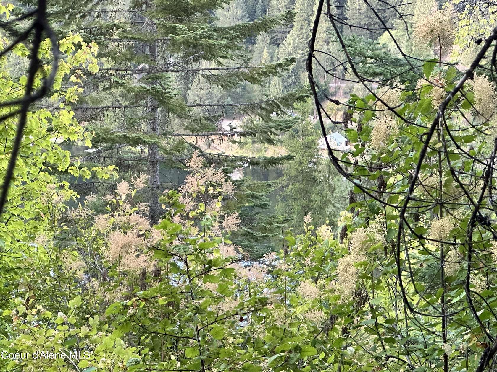 0.29 Acres of Residential Land for Sale in St. Maries, Idaho