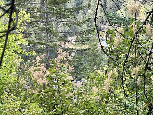 0.29 Acres of Residential Land for Sale in St. Maries, Idaho