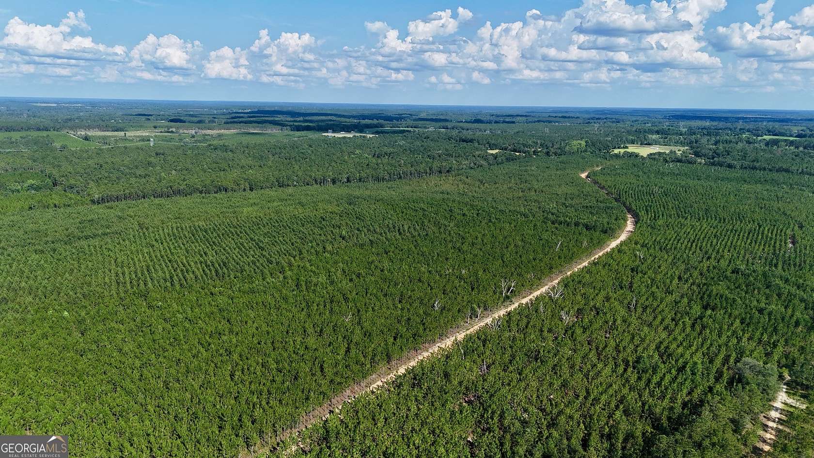 6 Acres of Residential Land for Sale in Baxley, Georgia