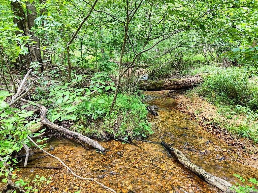 17 Acres of Land for Sale in Blairsville - Blairsville Ga 145979118