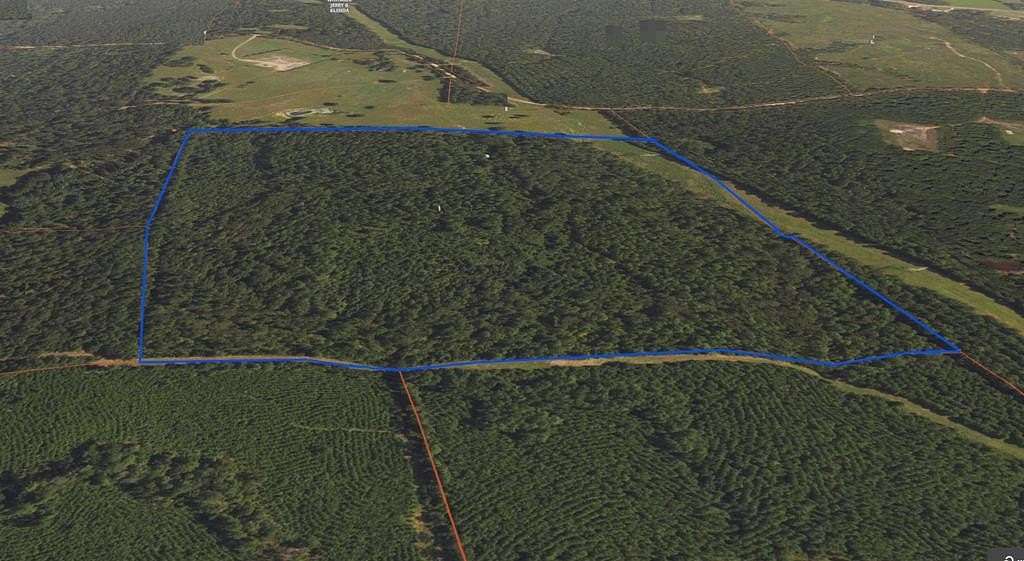 79.3 Acres of Recreational Land for Sale in Cushing, Texas