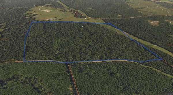 79.3 Acres of Recreational Land for Sale in Cushing, Texas
