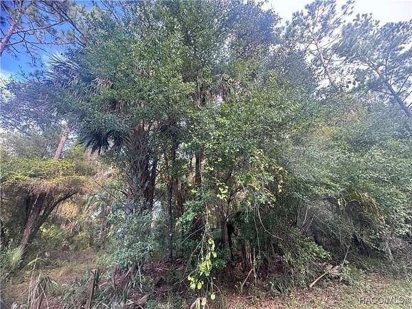 0.67 Acres of Residential Land for Sale in Crystal River, Florida