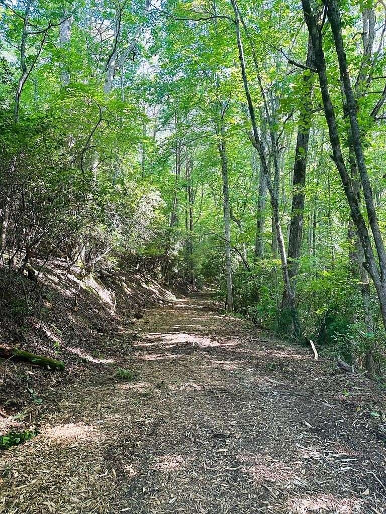 Residential Land for Sale in Hayesville, North Carolina