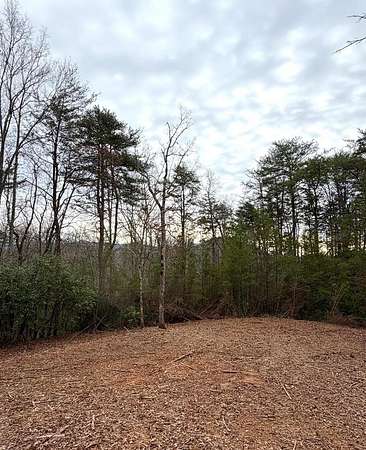 Residential Land for Sale in Hayesville, North Carolina