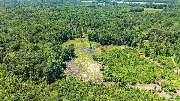1,297 Acres of Land for Sale in Steens, Mississippi