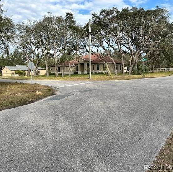 1 Acre of Residential Land for Sale in Hernando, Florida