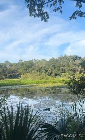 0.35 Acres of Residential Land for Sale in Crystal River, Florida
