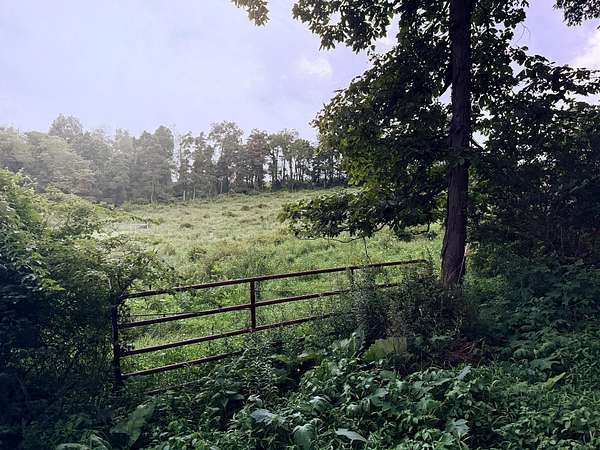 7 Acres of Residential Land for Sale in St. Louisville, Ohio