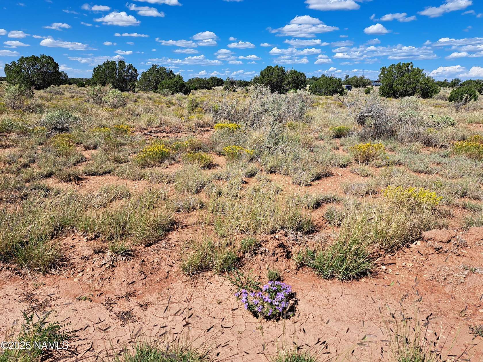 1.16 Acres of Residential Land for Sale in Valle, Arizona