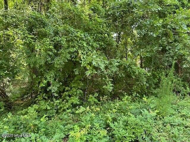 1 Acre of Residential Land for Sale in Hertford, North Carolina