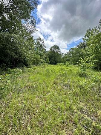 534 Acres of Recreational Land & Farm for Sale in Buena Vista, Georgia