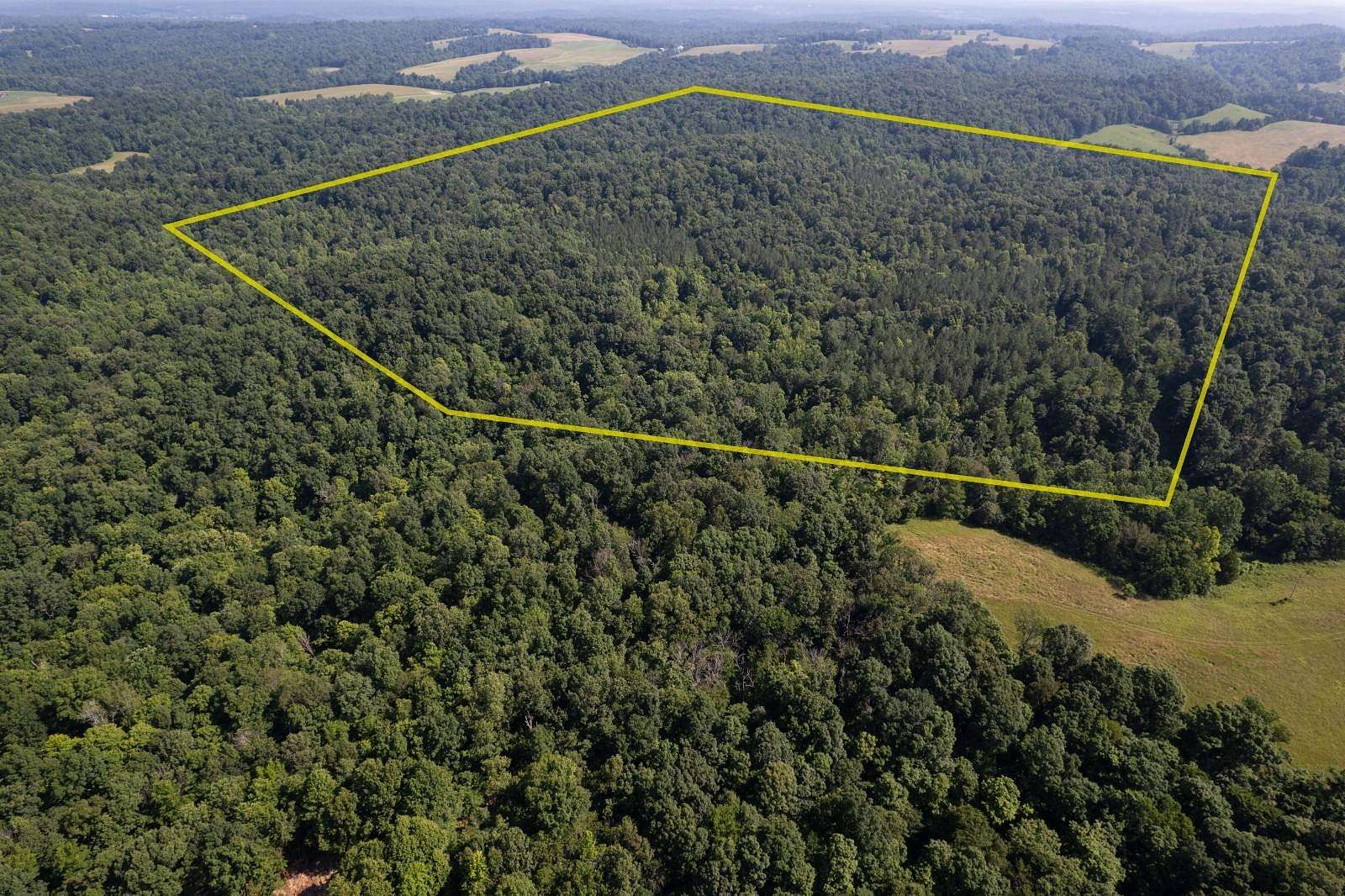 125 Acres of Recreational Land for Sale in Olaton, Kentucky