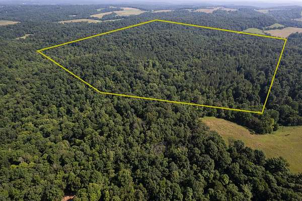 125 Acres of Recreational Land for Sale in Olaton, Kentucky