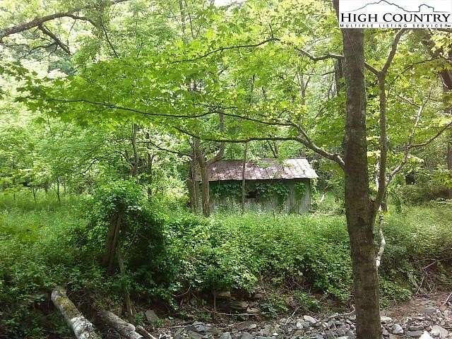 44.7 Acres of Land for Sale in Vilas, North Carolina