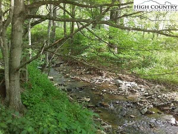 44.7 Acres of Land for Sale in Vilas, North Carolina